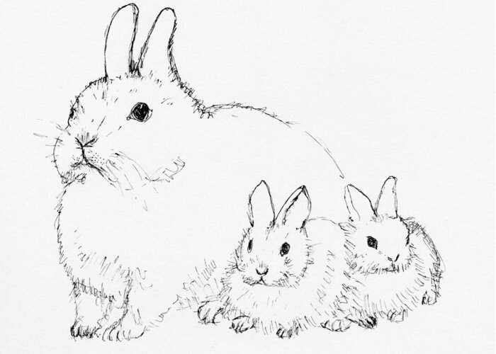 Animal family poster drawing Bunny Rabbit family illustration print customisable animal art gifts for family and friends